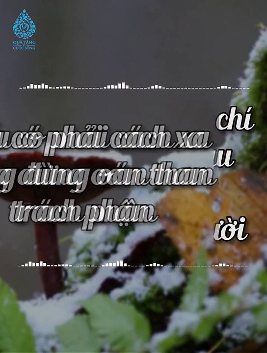 Lớn rồi...! hãy tập đối diện với tất cả..
