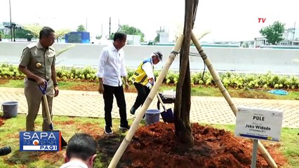 Jokowi Setuju Gubernur Jakarta Dipilih Langsung Hingga Sebut RUU DKJ Inisiatif DPR