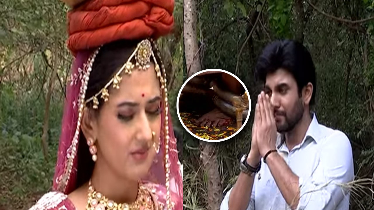 Dhruv Tara Samay Sadi Se Pare Spoiler: Suryapratap के साथ Tara को खुश देख Dhruv चला जाएगा दूर ?
