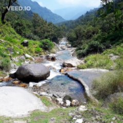 Duniya Doke Bajan Cover by Charnpreet Singh 🎶