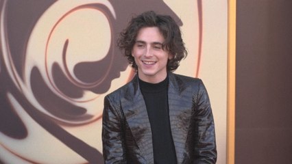 Timothée Chalamet foule le tapis rouge de "Wonka" à Los Angeles