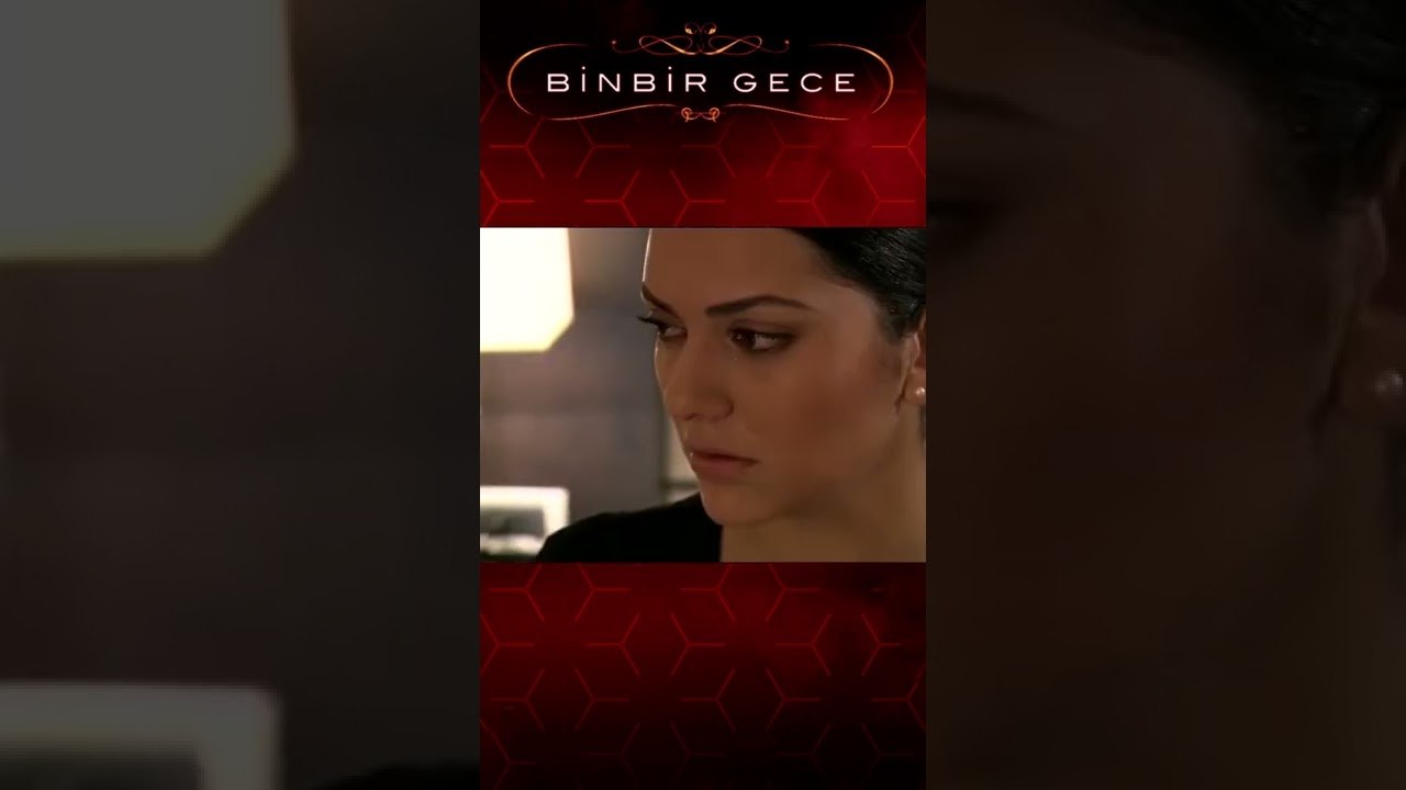 Bin Kere Özür Dilerim | Binbir Gece #Shorts