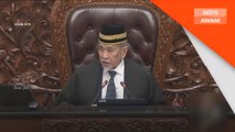 Senator dilantik Menteri perlu jadi juara terbaik tegakkan institusi Dewan Negara - Wan Junaidi