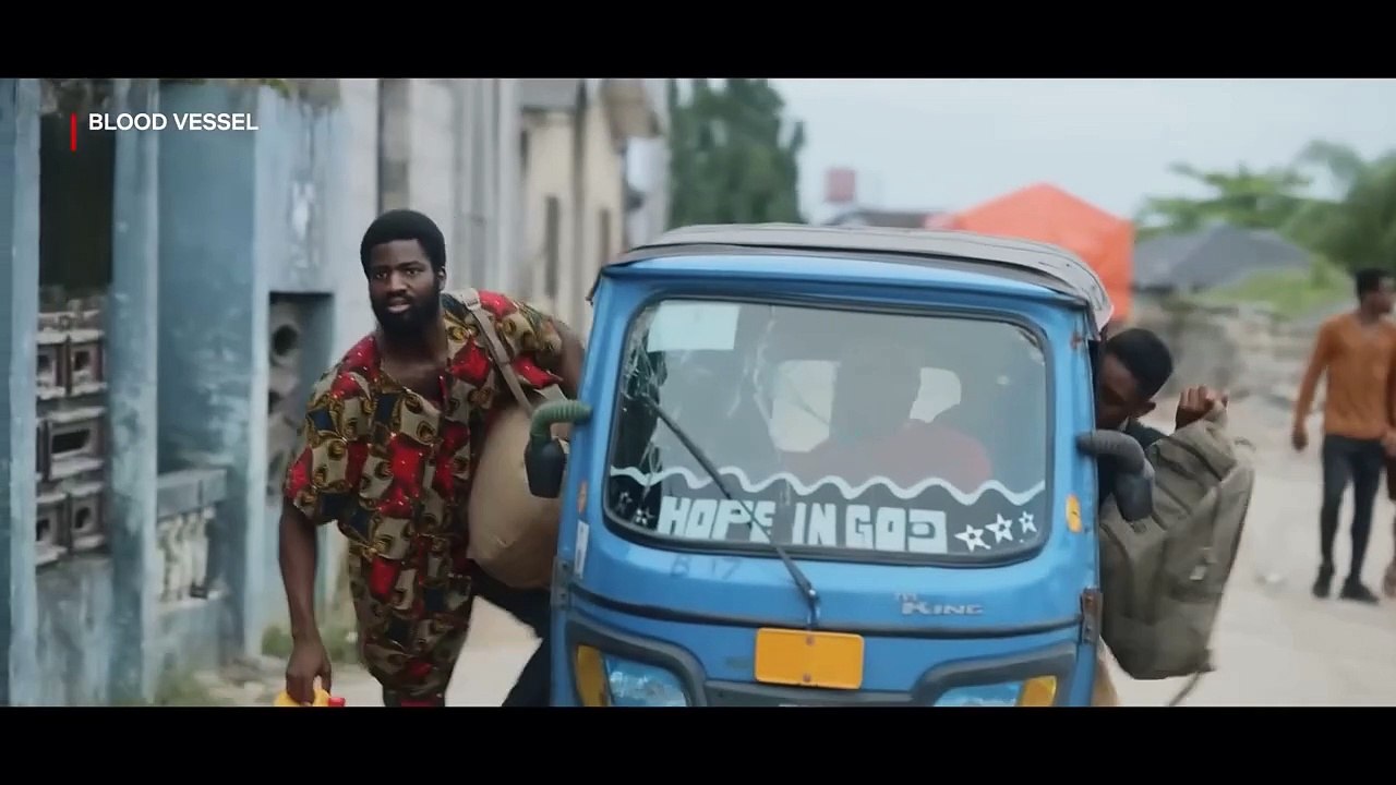 Blood Vessel Videoauszug OmeU