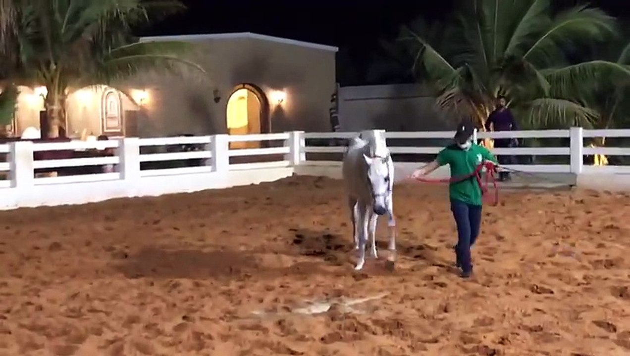 A trip to a farm in Mecca Horse review 3 فلوق رحلة الى المزرعة