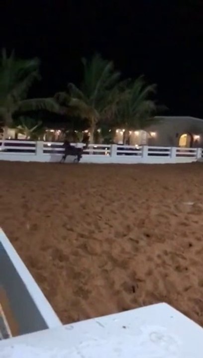 فلوق رحلة الى مزرعة في مكة  A trip to a farm in Mecca Horse review 6