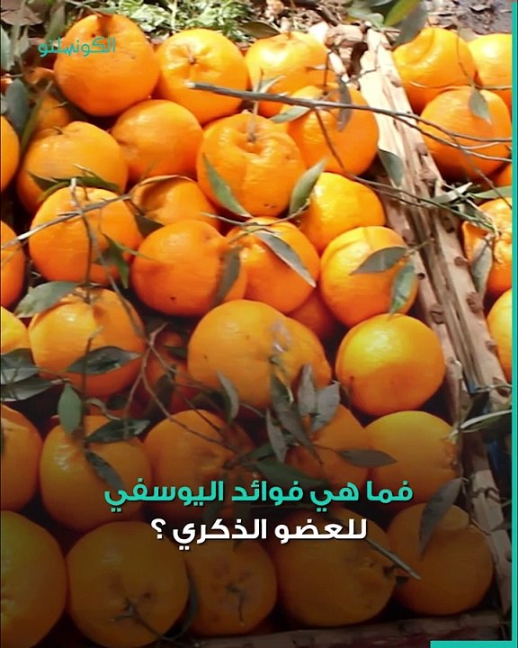 للرجال- 5 فوائد يقدمها اليوسفي للعضو الذكري