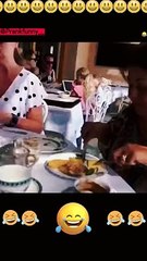 The last one #funnyvideos #funny #frank #funnyfrank #hilarious