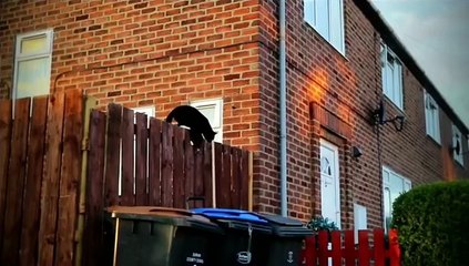 Police Interceptors S10E10 (16 May 2016)