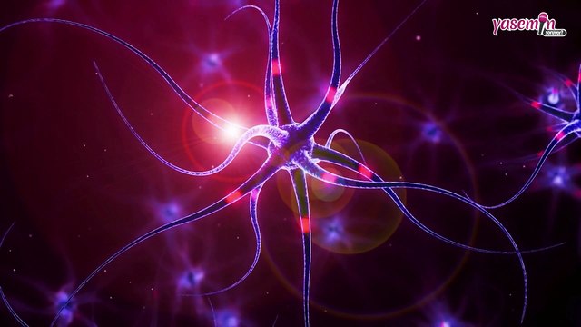 Ramsay Hunt Sendromu nedir? Ramsay Hunt Sendromu belirtileri nelerdir?