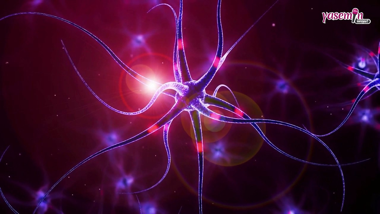 Ramsay Hunt Sendromu nedir? Ramsay Hunt Sendromu belirtileri nelerdir?