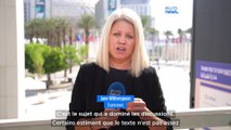 Tractations de la dernière heure à la  COP28