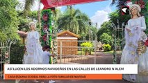 Así lucen los adornos navideños en las calles de Leandro N Alem