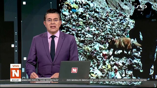 Perros encuentran cuerpo de Miguel