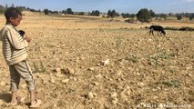 Ethiopia: Hunger remains in Tigray region after years of war