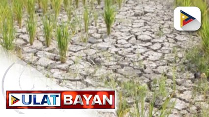 Pagtaas ng presyo ng bigas, bunsod ng papatapos na harvest season