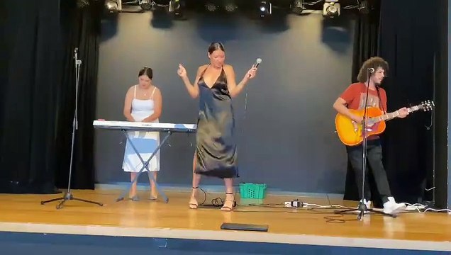 Guitarist Singer - Katy Events