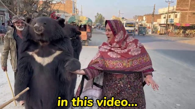 Love Birds Gift krny waly Fan k village phnch gyExperiencing Village Life...