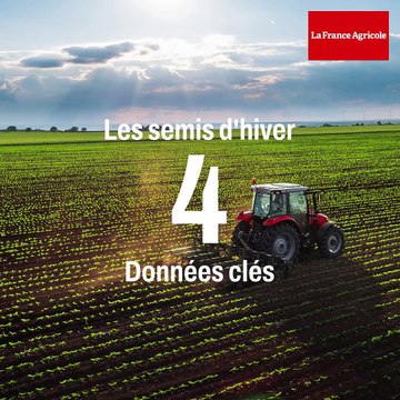 Cultures d'hiver : premières prévisions de semis pour la récolte de 2024
