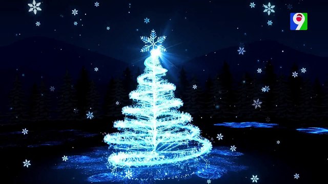 Resumen de investigaciones sobre títulos falsos | Nuria Piera 2/2