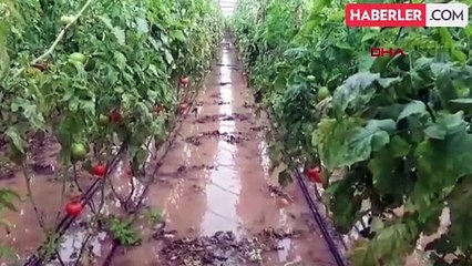 Kumluca'da Sağanak Nedeniyle Sera ve Evler Su Bastı