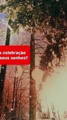 Como seria a celebração de Natal dos seus sonhos?