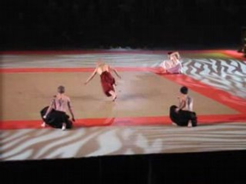 Bercy Paris festival arts martiaux 2008 clôture