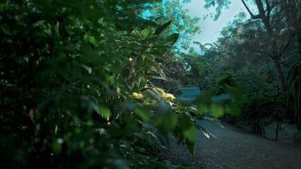 Curse Code (2024) Episode 1: The Beginning of the Haunted Saga 👻