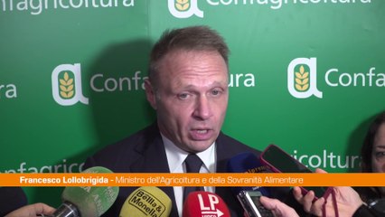 Lollobrigida "Lavoriamo per aumentare i fondi all'agricoltura"