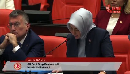 AKP'li Özlem Zengin'den "Allah'ın gazabı" açıklaması: Bazı arkadaşlarımız arkalarda olduğu için olayın ne olduğunu hemen anlayamamış olabilir