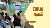 Café en la Mañana | Conferencia de las Naciones Unidas sobre el Cambio Climático COP28 en Dubái