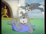 Tom y Jerry - Tom le canta una canción de cuna a Spike (Español Latino)