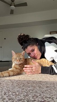 Cat Isn't in the Mood for Cuddles