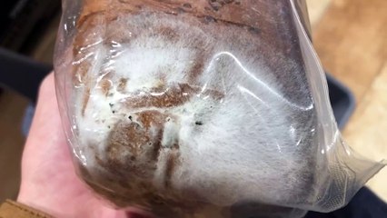 ¡Cuidado! Pan de molde proteico de Ametller Origen en mal estado por solo 4,90 € 🥖