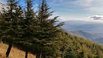 From Algerian mountains