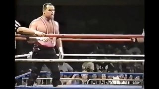ECW Fan Cam Dover, DE. (4/29/95)