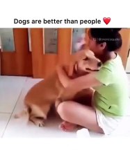 -Dogs are our best friends.