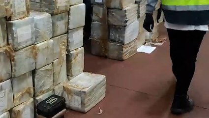 Watch: Spanish police seize 7.5 tonnes of cocaine hidden inside frozen tuna fish