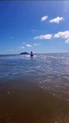 Jovem e cachorro estão desaparecidos após se afogarem em praia de Balneário Piçarras