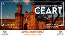 Arte en Foco: Exposiciones Vigentes en el CEART
