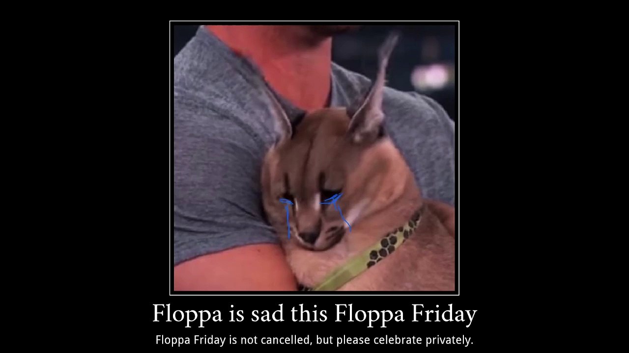 ❗IMPORTANT ANNOUCEMENT FROM FLOPPA❗