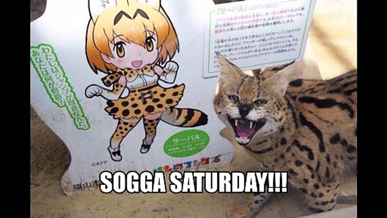 SOGGA SATURDAY!!!