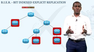 BIERv6 (Bit Index Explicit Replication IPv6 encapsulation) par Polytechnique Paris