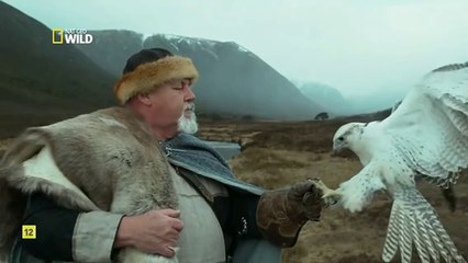 Entre hielos y sagas: La naturaleza salvaje vikinga