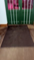 Atmospheric Conditions Bathe World in Pink Light