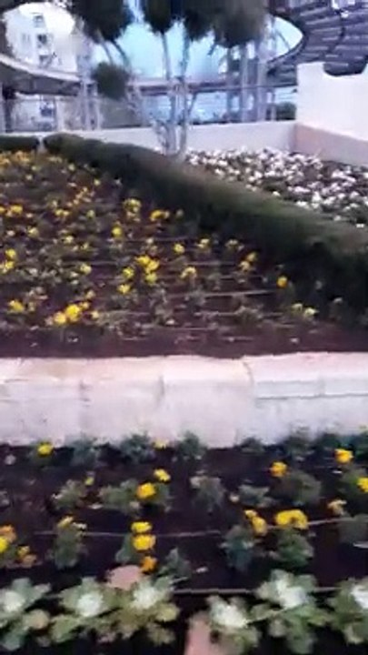 Experimental recording of Yehuda Amichai Square in Jerusalem, Israel