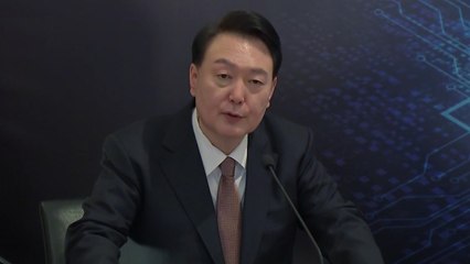 尹 "한국-네덜란드 반도체 협력 성공 위해 모든 지원" / YTN