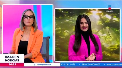 Aplicación de vacuna de Moderna contra Covid-19 en México comenzará antes de 2024