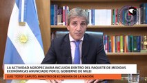 La actividad agropecuaria incluida dentro del paquete de medidas económicas anunciado por el Gobierno de Milei