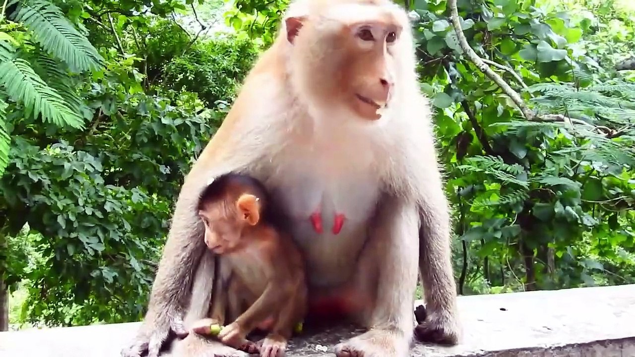 Lovable Joanna Is Kindness Mom That Can Share Meal to Her Tiny Child (720p_25fps_H264-192kbit_AAC)